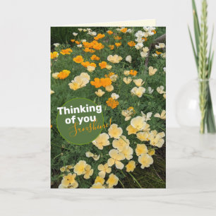 Carte Fleur Poppies Orange Jaune