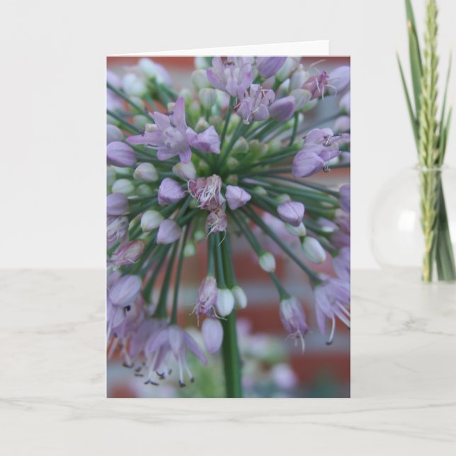 Carte Fleur pourpre (Devant)