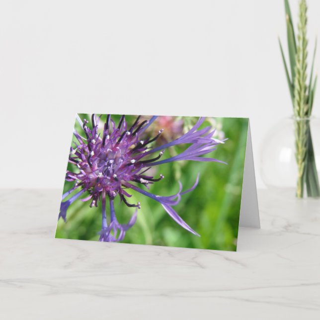 Carte Fleur pourpre (Devant)