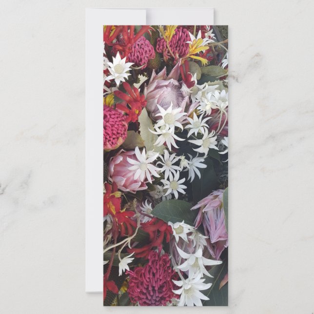 Carte Fleur Protea rose Toutes les fins (Devant)
