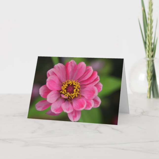 Carte fleur rose (Devant)