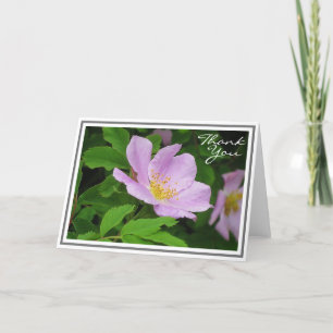 Carte Fleur rose contre feuillage vert