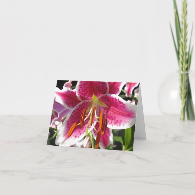 Carte Fleur rose rose rose rose fleur rose fleur tropica (Devant)