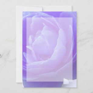 Carte fleur rose violette