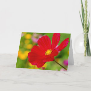 Carte Fleur rouge