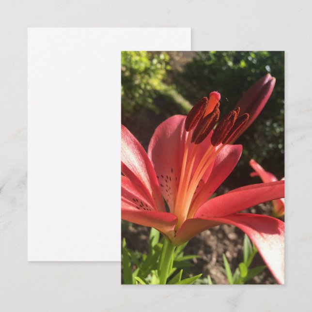 Carte "Fleur Rouge Solide" en Z (Devant / Derrière)