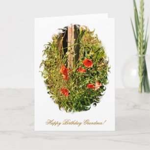 CARTE FLEUR SAUVAGE