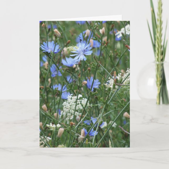 Carte Fleur sauvage bleu (Devant)