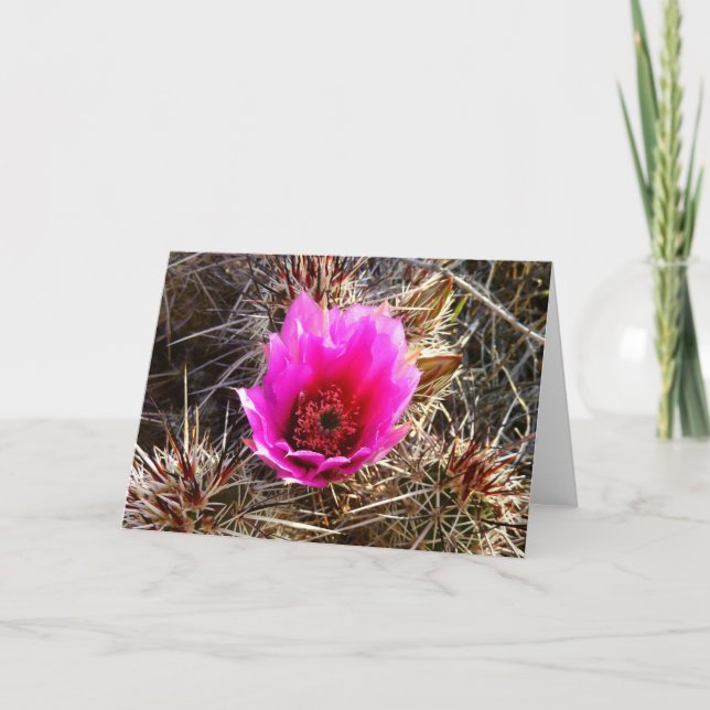 Carte Fleur sauvage de cactus en fleurs (Prickly Pear) (Devant)