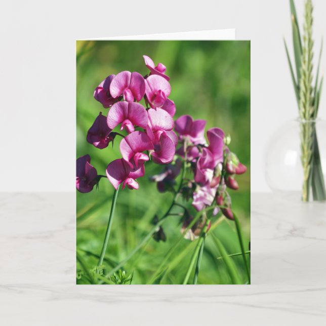 Carte Fleur sauvage de Doux-pois (Devant)