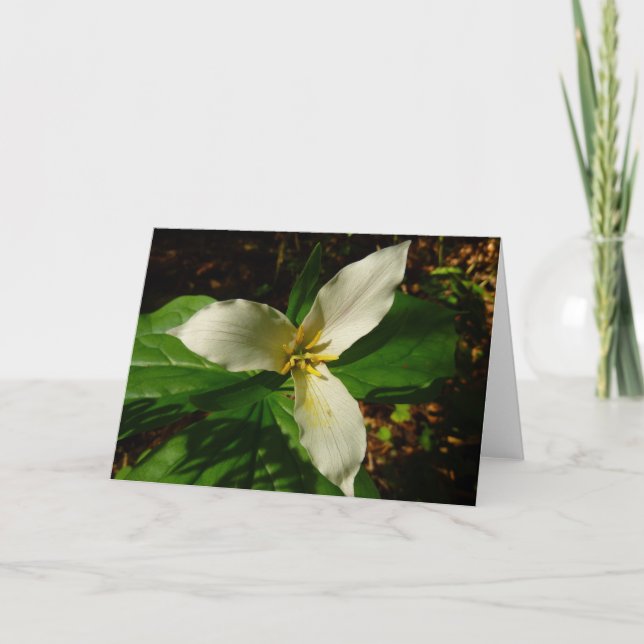 Carte Fleur sauvage de printemps blanc Trillium Flower (Devant)