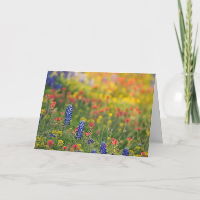 Carte Fleur sauvage du printemps (Devant)