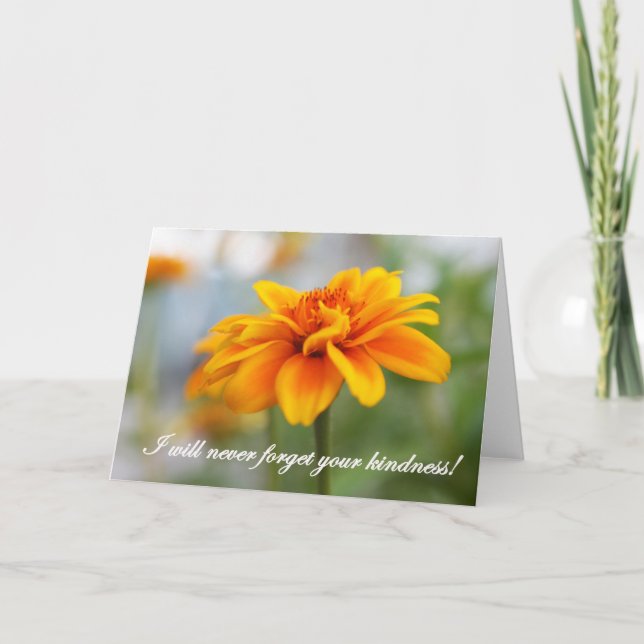 Carte Fleur sauvage orange (Devant)