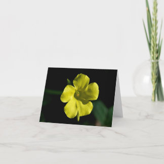 Carte Fleur soleil