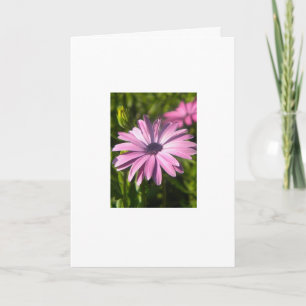 Carte fleur violette
