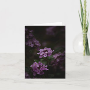 Carte Fleur violette, Sympathie