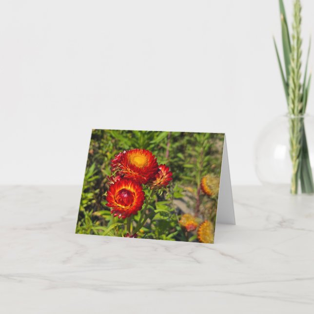Carte Fleurs (Devant)