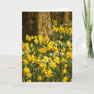 CARTE FLEURS