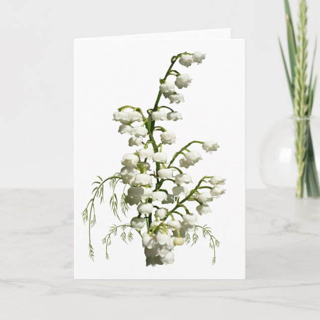 Carte Fleurs blanches du muguet (Devant)