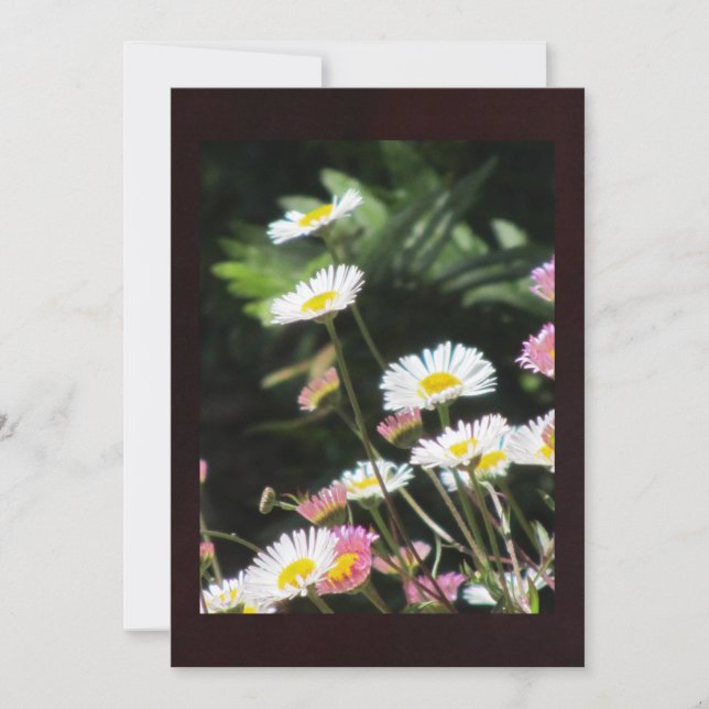 Carte Fleurs blanches et roses (Devant)