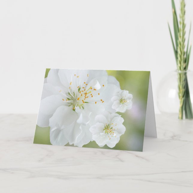 Carte Fleurs blanches florissantes (Devant)