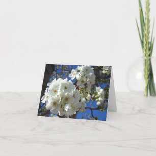 Carte Fleurs blanches I Poirier ornemental
