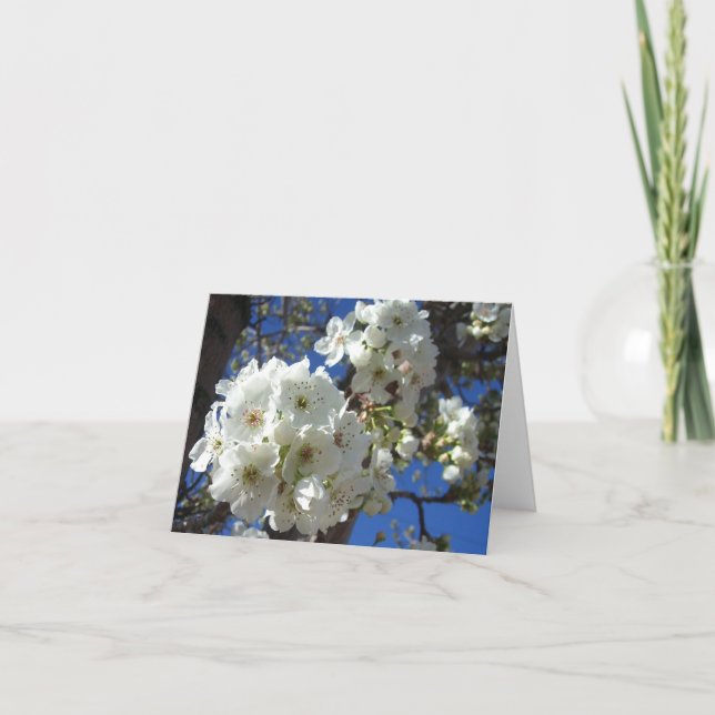 Carte Fleurs blanches I Poirier ornemental (Devant)