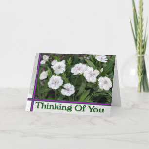 Carte fleurs blanches qui pensent à vous