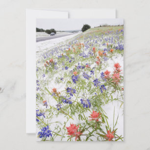 Carte Fleurs congelées