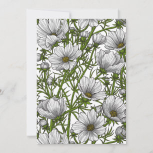 Carte Fleurs cosmos blanches