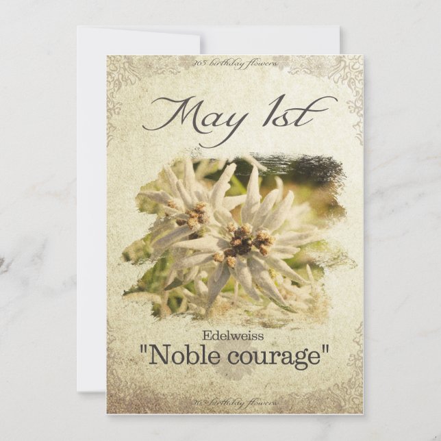 Carte Fleurs d'anniversaire le 1er mai "Edelweiss" (Devant)