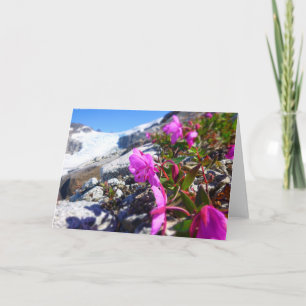 Carte Fleurs dans le fossé de Gilkey (blanc à