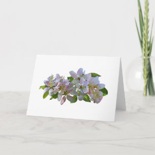 Carte Fleurs d'Apple