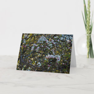Carte Fleurs d'Apple