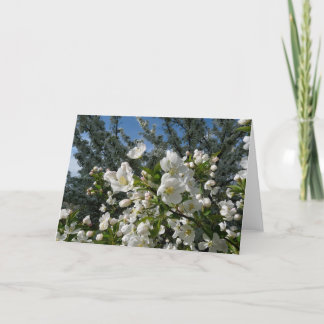 Carte Fleurs d'Apple
