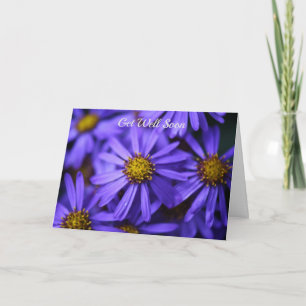 Carte Fleurs d'aster pourpre Wisley Gardens Prompt rétab