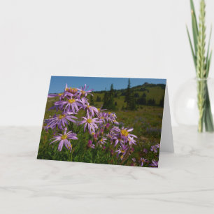 Carte Fleurs d'aster violet au Mont Rainier
