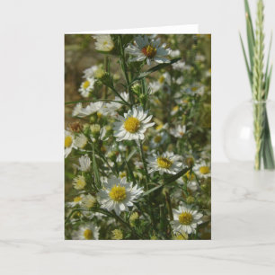 Carte Fleurs d'automne Toutes les occasions