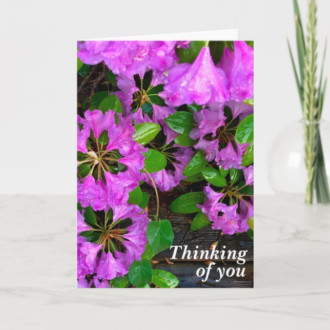 Carte Fleurs d'Azaleas roses, jardin rustique (Devant)