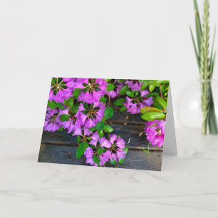 Carte Fleurs d'Azaleas roses, jardin rustique