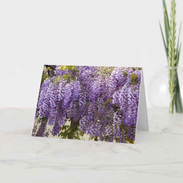 Carte Fleurs de bisteria violet (Devant)