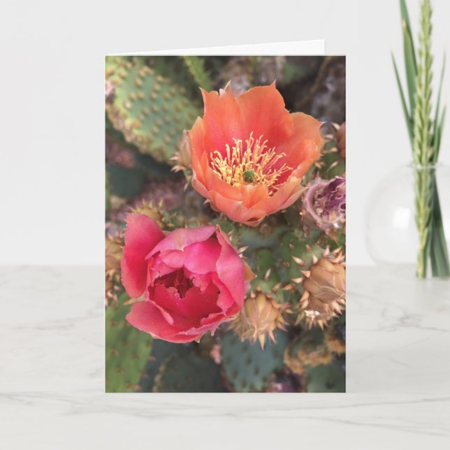 Carte Fleurs de cactus | Désert florissant (Devant)
