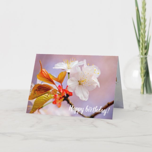 Carte Fleurs de cerises blanches fraîches mignonnes Saku (Devant)