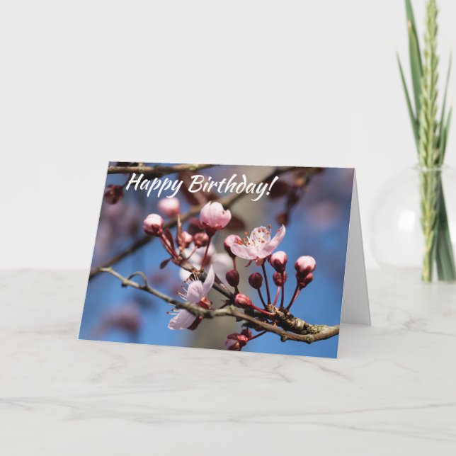 Carte Fleurs de cerisiers d'anniversaire (Devant)