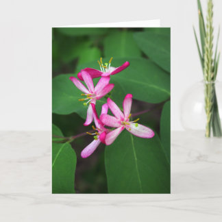 Carte Fleurs de chèvrefeuille
