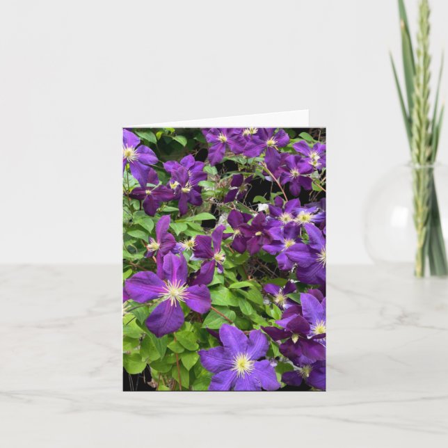 Carte Fleurs De Clematis Violet Et Photographie Feuille (Devant)