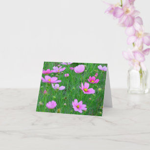 Carte Fleurs de Cosmos bipinnatus