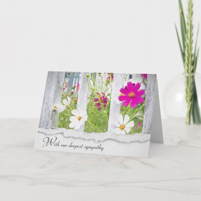 Carte Fleurs de cosmos rose et blanc Sympathie (Devant)
