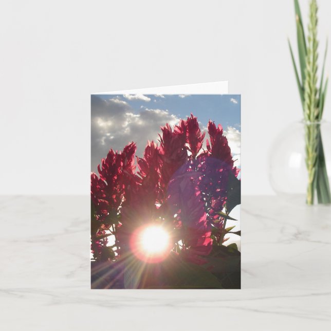Carte Fleurs de flamme de coucher du soleil - verticale (Devant)
