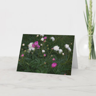 CARTE FLEURS DE FLORAISON